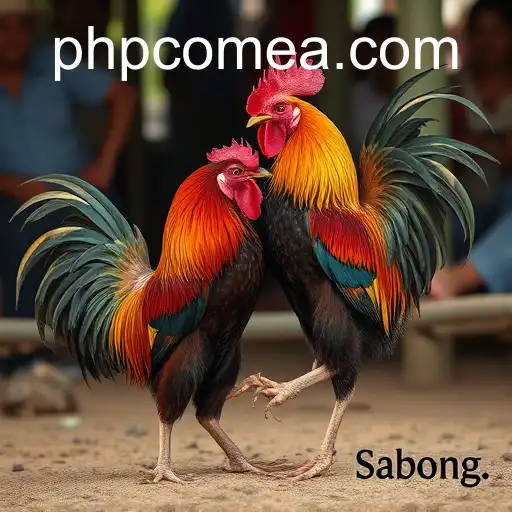 Exploring the Tradition of Sabong Games